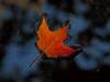 :: FLOATING  ::  by U.Wittwer